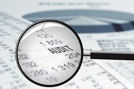 Topham Accountant & Audit 96 contabilitate